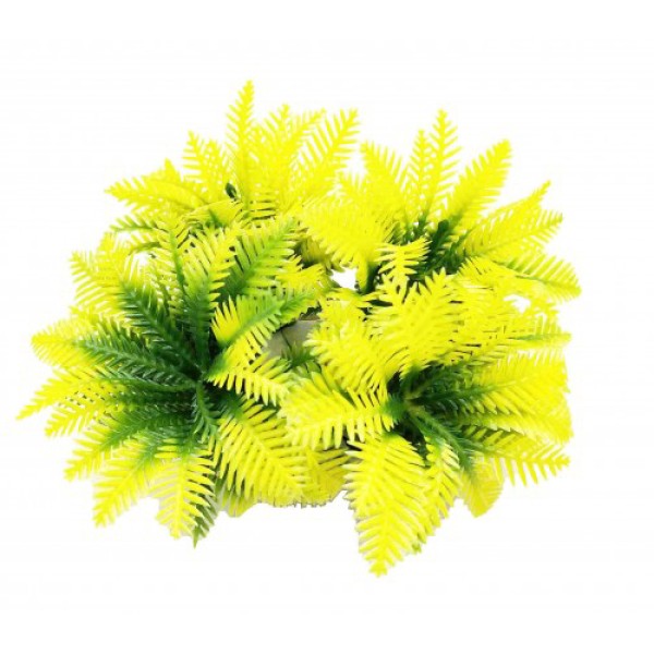 ΔΙΑΚΟΣΜΗΤΙΚΟ ΦΥΤΟ ΕΝΥΔΡΕΙΟΥ